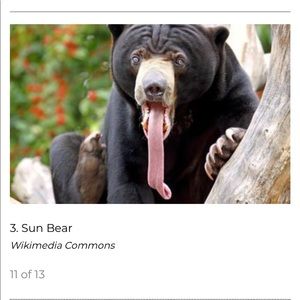 Meet your Posher, Gina